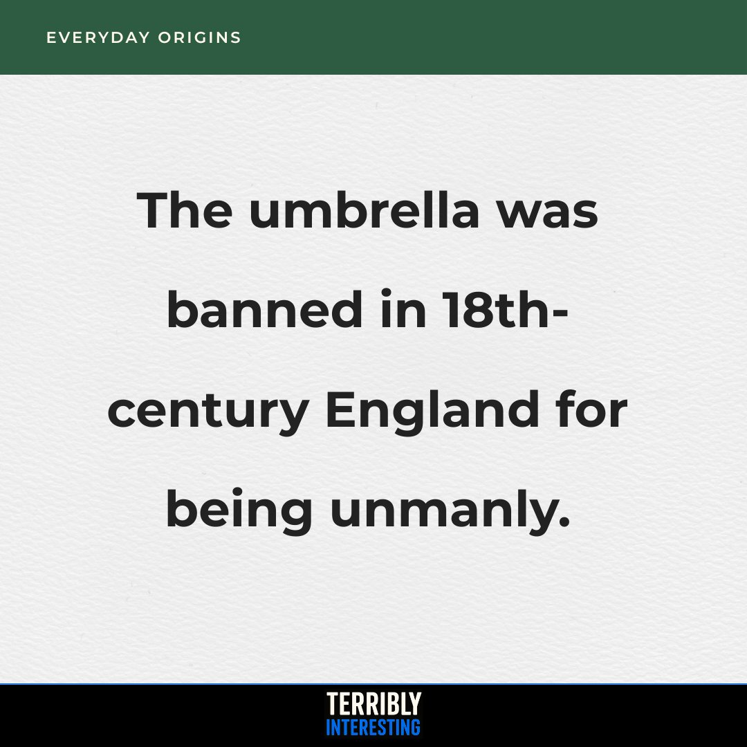 Terribly Interesting (@terriblyhq) on Twitter photo 