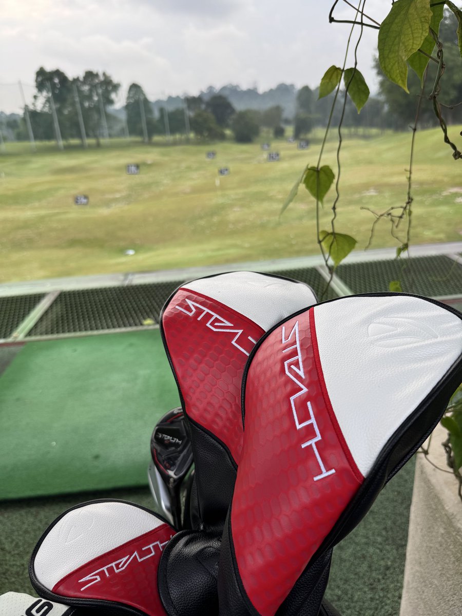 最新ドライバー買わないで同じクラブの角度とシャフト違いを買う。まずは自分に合うスペックを見つけることだな。
3年型落ちなら新品でも安かった