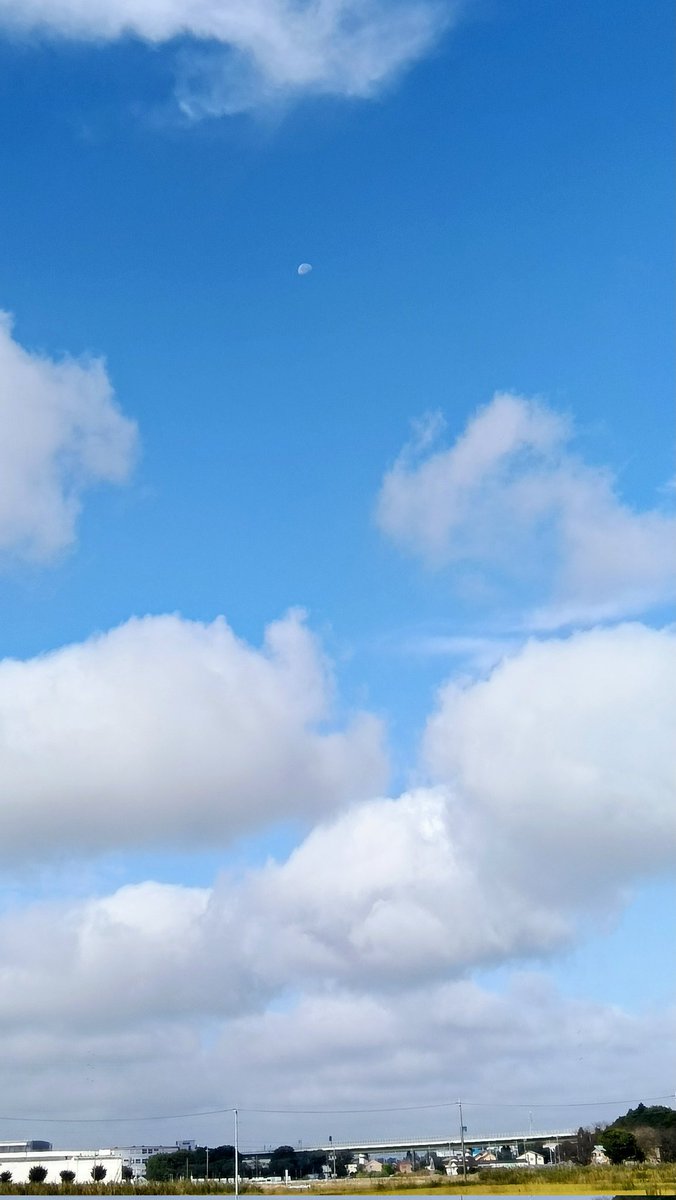 rei00000rei's tweet image. おはようございます。

今日も、焦らずゆっくり落ち着いて、空を見よう！

#月
#自然観察
#ウォーキング