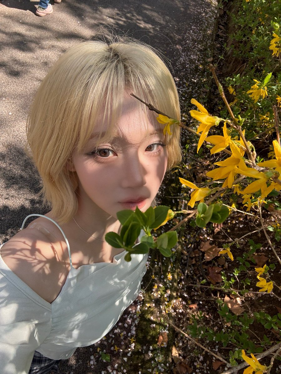 김나경 🐈‍⬛ tweet media