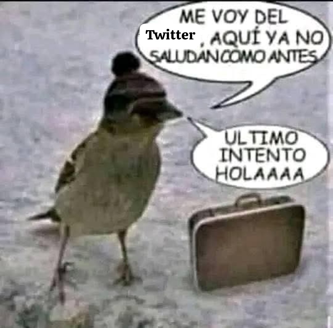 Tweet media one