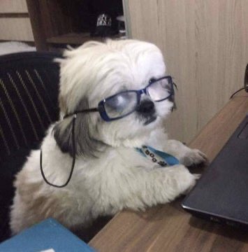 notbelito's tweet image. la mania de citar en vez de comentar por si se pega el twit