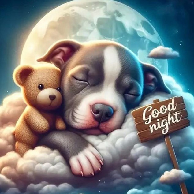CoVet_81's tweet image. Good Night, Patriots! 🌙💤

Rest peacefully, wrapped in the comfort of knowing that our brave veterans—past and present—watch over us each night through the grace of our Lord Jesus Christ.” 🌙✝️💤

Feel free to get to know fellow Patriots and let&apos;s build connections. 🇺🇸

God…