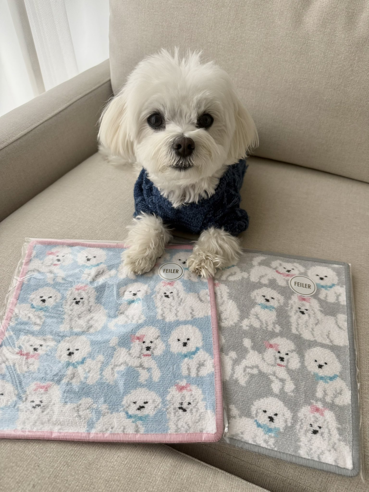 ラブラリーバイフェイラーモフモフワンチャンマルチーズ巾着L/MWC-257368