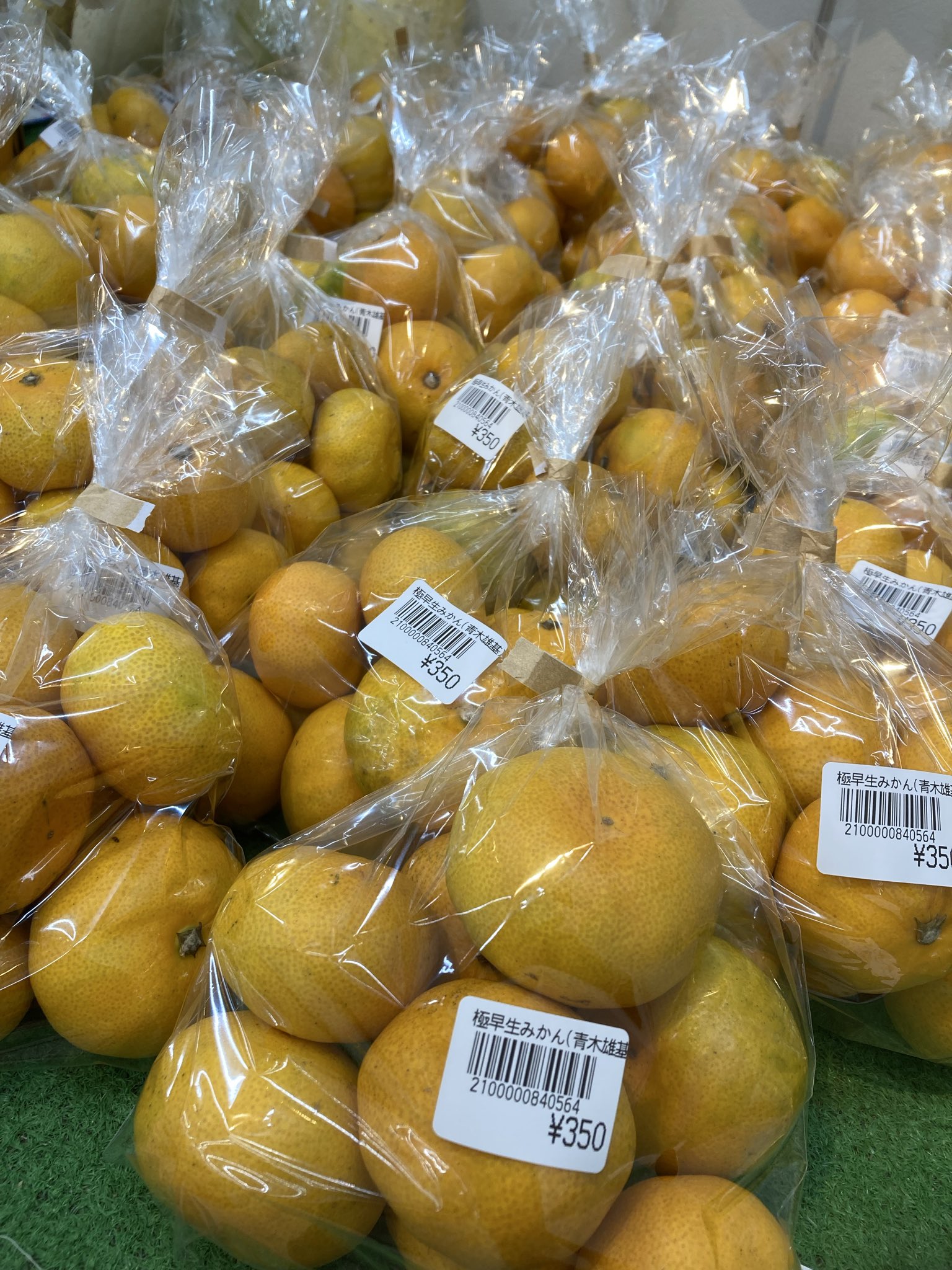 みかんです₊⁎⁺˳✧༚ チャーハン on X