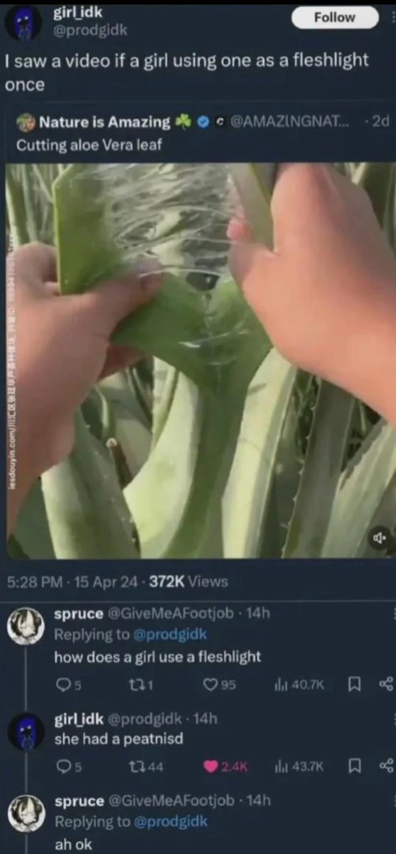 Luna🐾🐶 (@lunaetastrum) on Twitter photo 