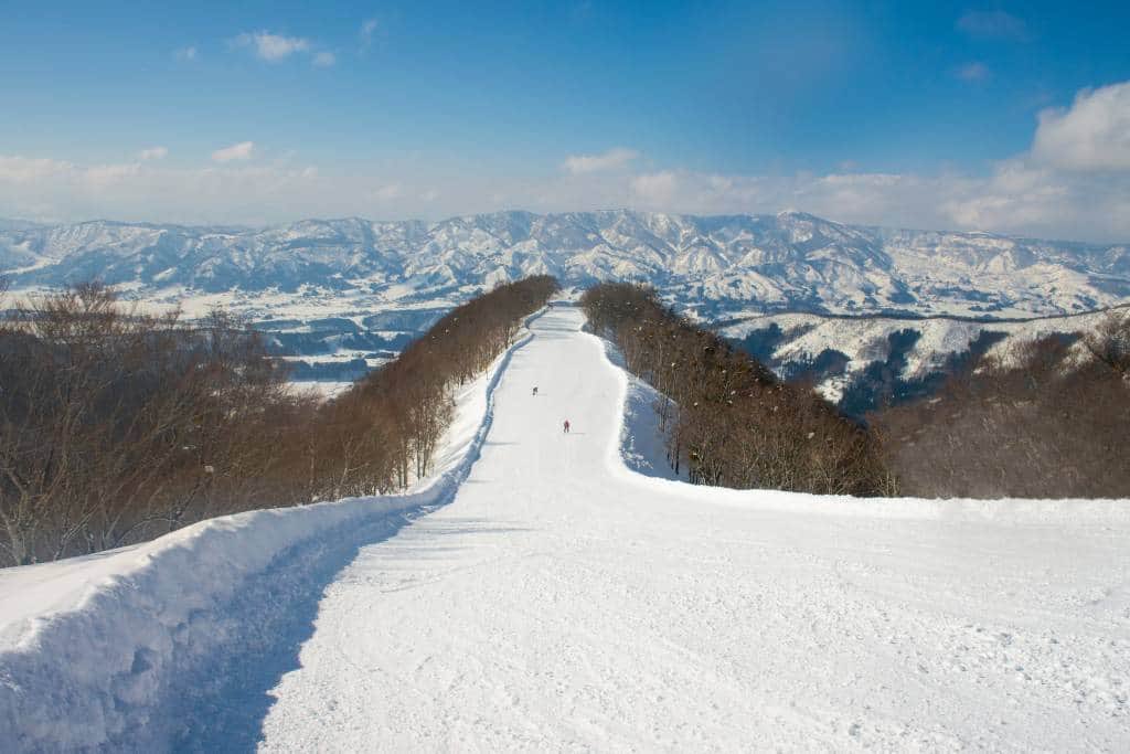 Less than 3 months until our Scientific Meeting in Nozawa Onsen 🇯🇵
If you really want to come, get in touch now or suffer severe FOMO.
#surgery #anaesthesia #headandneck 
#thisisnotadrill