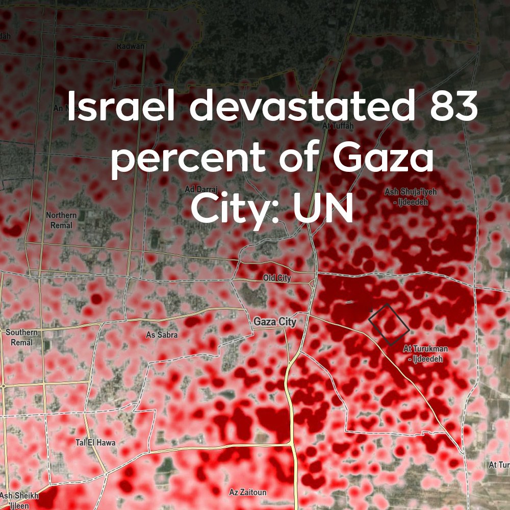thetrustfalldoc's tweet image. Sovereignty for Palestinians! The orchestrators of the genocide must be brought to justice! International peace keeping force for Gaza NOW!! #gaza #genocide #ceasefire #gazaceasefire