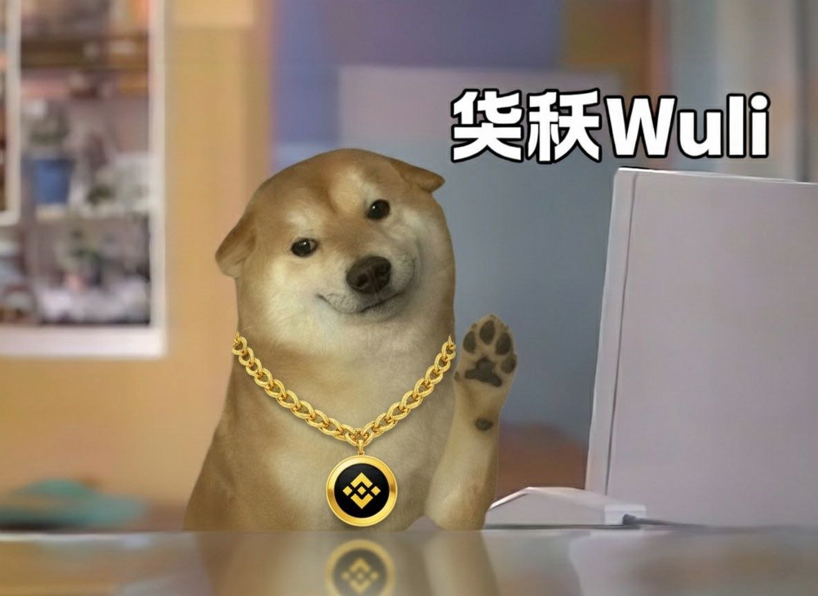 wulibsc's tweet photo. literally: binance smart chain 

@BNBCHAIN https://t.co/c0IZndijHO