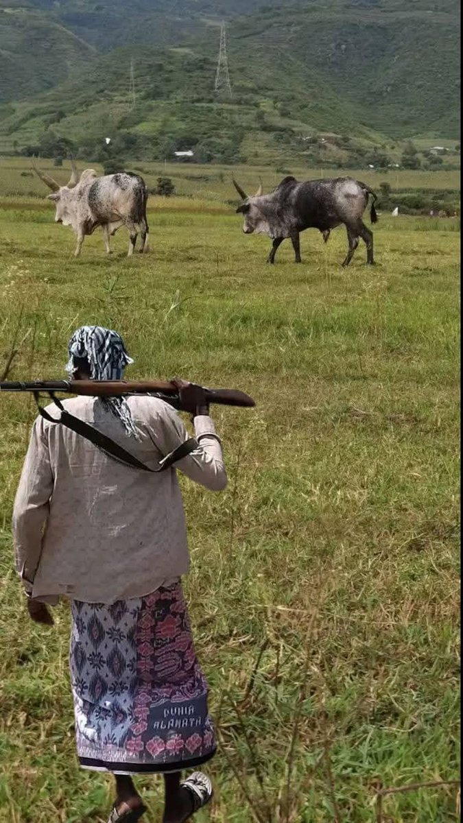 sanyii Hassan Ammee tweet media