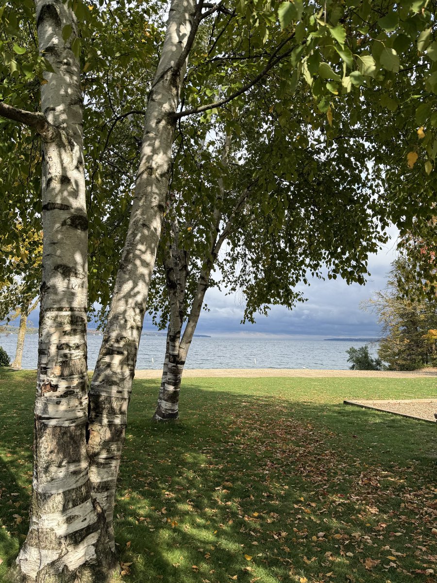 The feeling of autumn in the air! @kempenfeltbay 
October 11, 2026 🍁🇨🇦