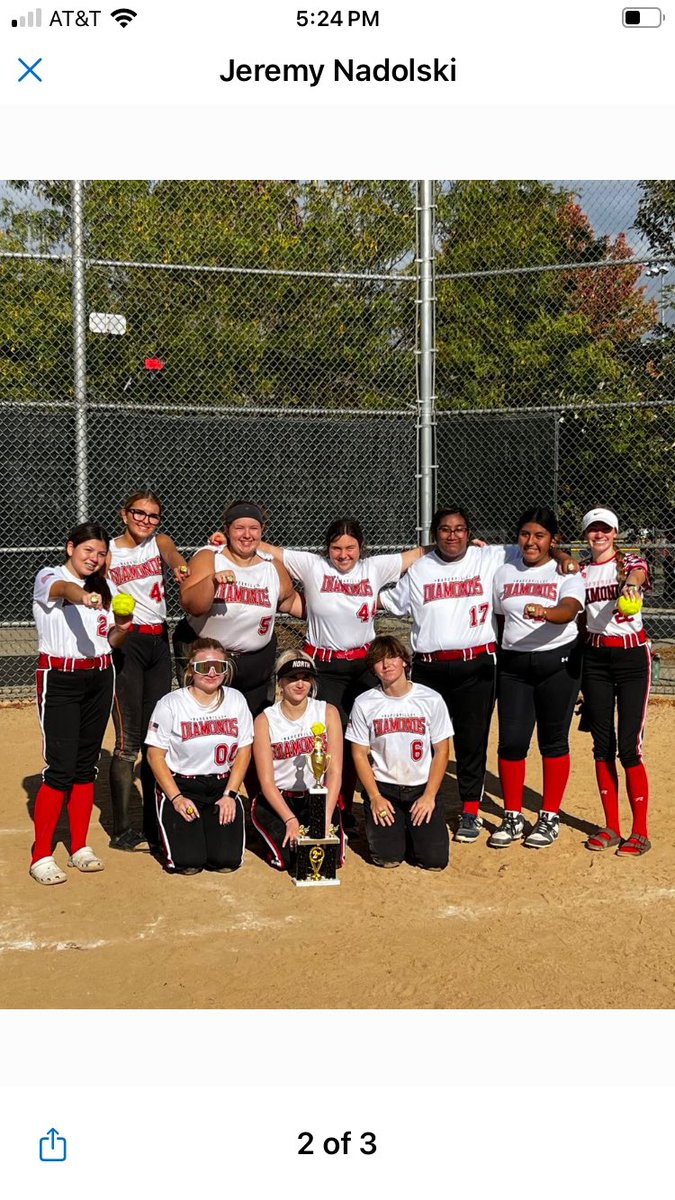 Naperville Diamonds tweet media