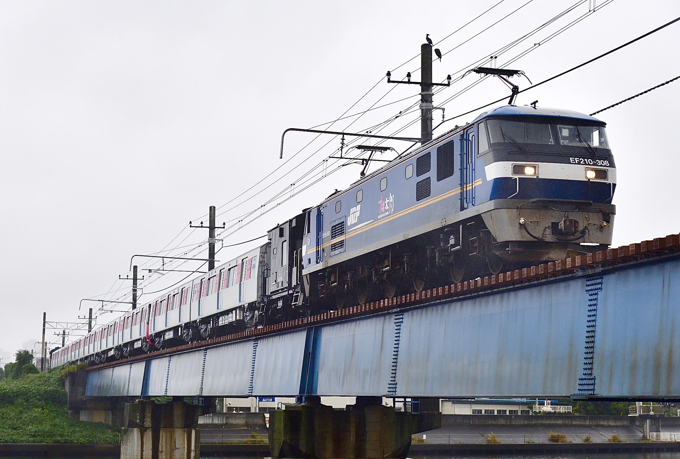 3783 外国切手 セントクリストファー・ネイビス 農業 輸送 鉄道