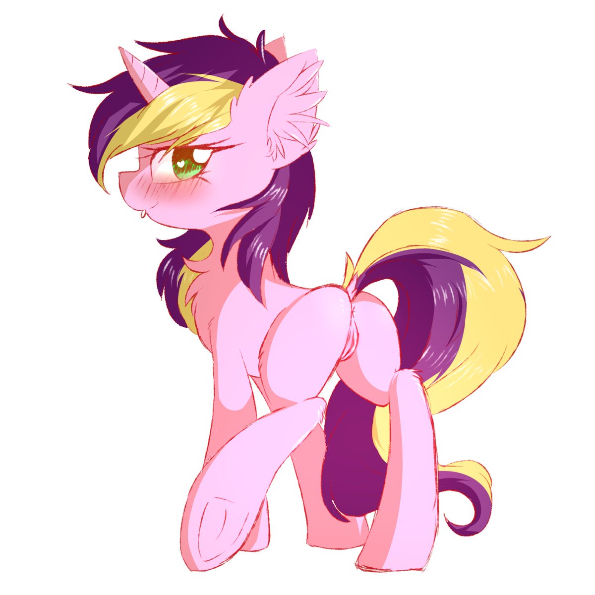 really really old one (2017 maybe)