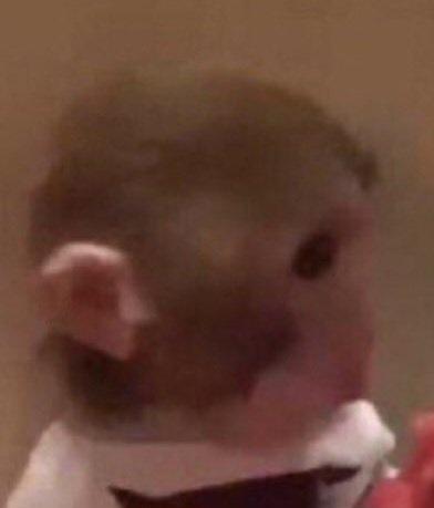 Tenicron tweet media