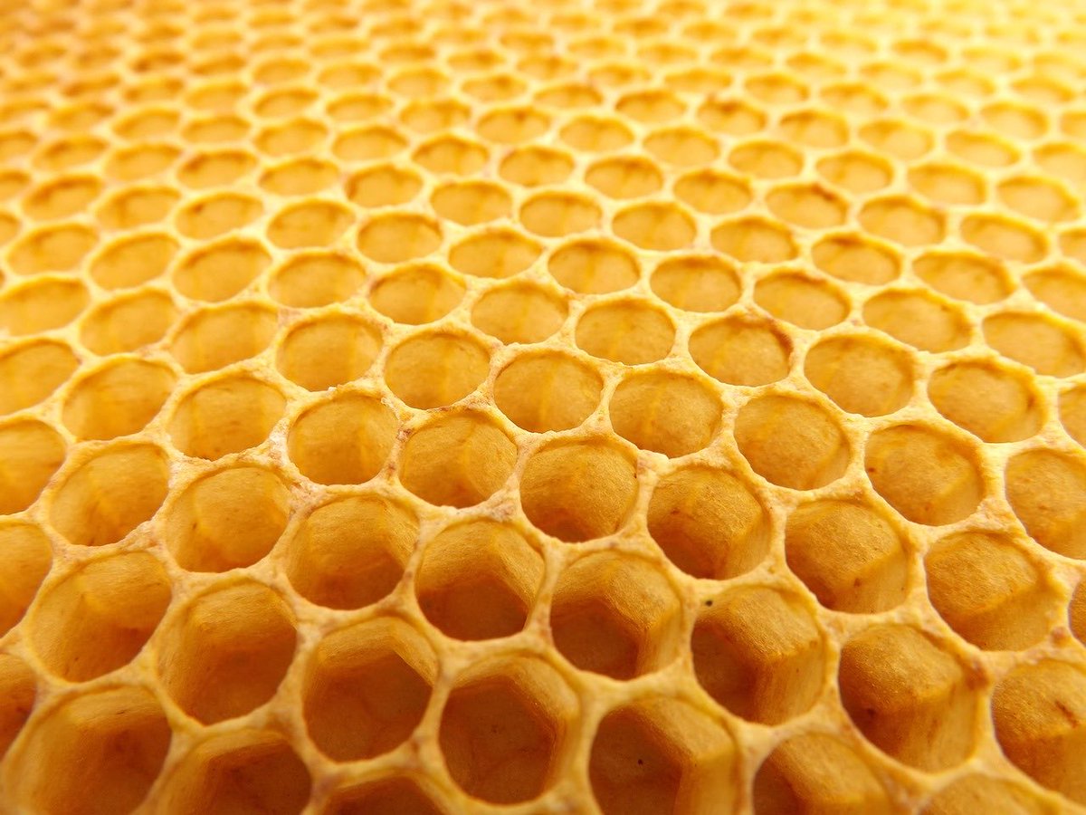 TechTectonic's tweet photo. Patterns in nature, like this honeycomb, inspire cutting-edge engineering. How do you think nature and tech can work together to solve big problems? 🌿🏗️ #TechTectonic https://t.co/DxFVJ40XF2