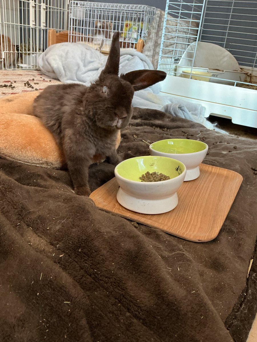 ゆかページ 写真家 加藤ゆか on X