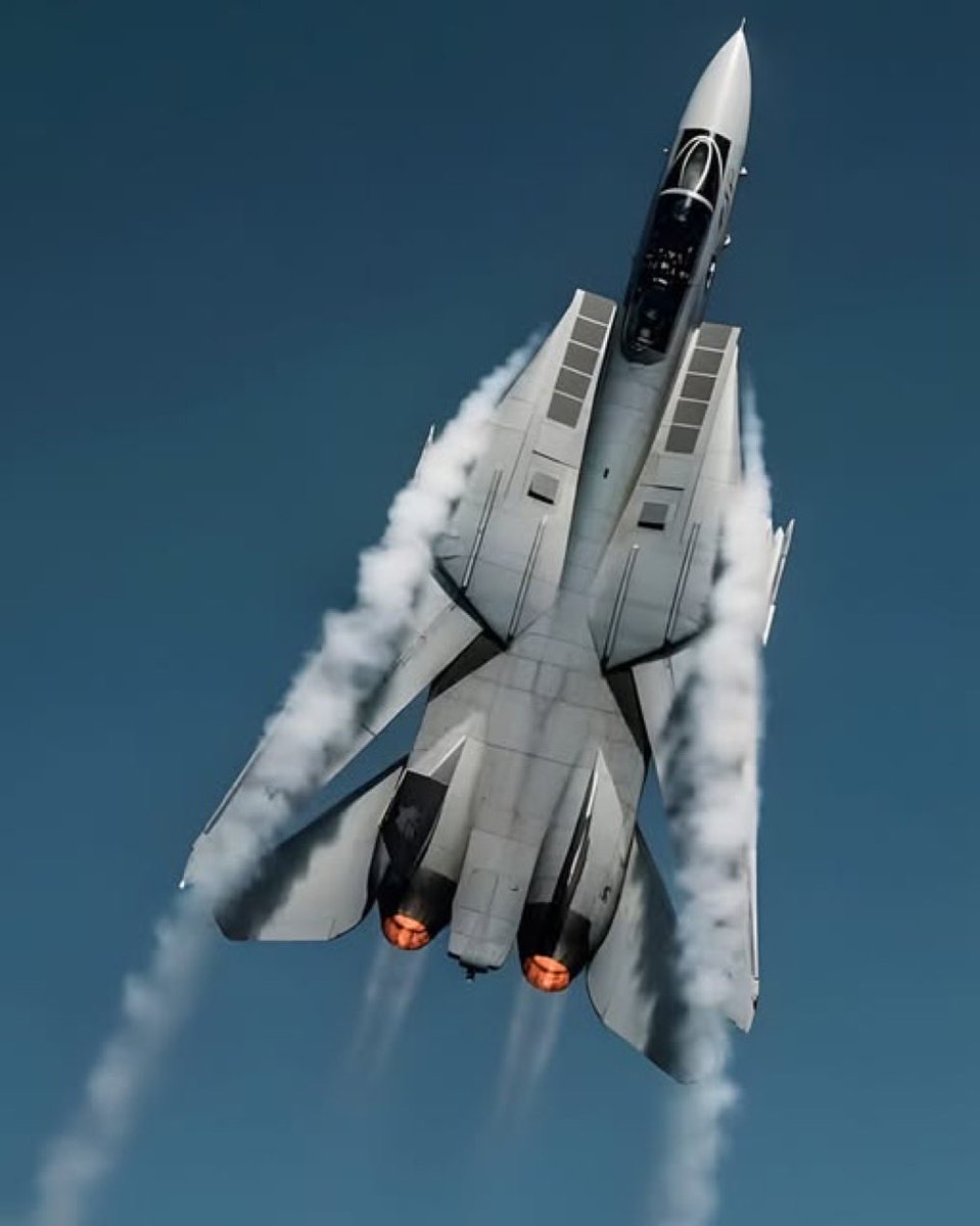 Bellagiotime's tweet photo. F-14 Tomcat, the best shot ever. https://t.co/gNwJvRAQfG