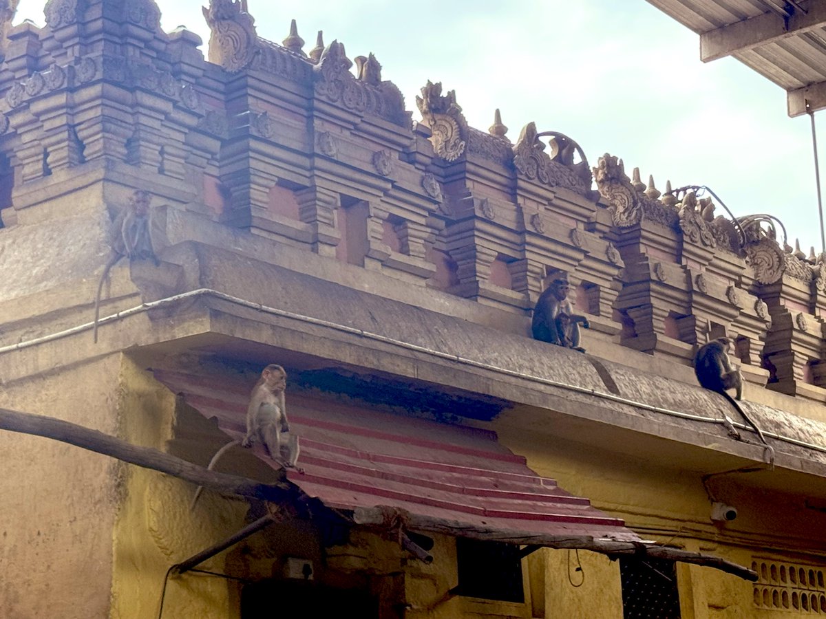 itzmeCitrus's tweet image. If you see this, post a picture of a temple visit from your gallery!