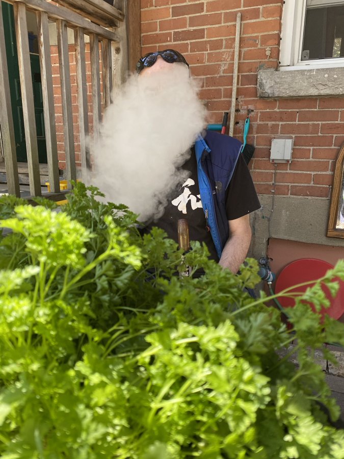 Bill_Owen's tweet image. We don&apos;t have an endocannabinoid system for nothing.