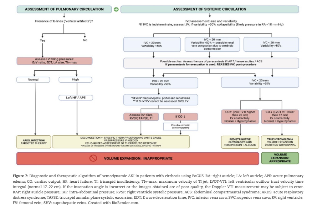 Redefinir SHR con POCUS:
📌Para diferenciar sobrecarga vs depleción
📌Cirrosis obliga a insonar intrarenales/ yugular interna
📌 Fenotipo no respondedor a expansión de volumen:
✔️Redistributivo
✔️⬆️de presión intrabdominal
✔️ Hepatocardiorenal
CKJ 2024
DOI: 10.1093/ckj/sfae112