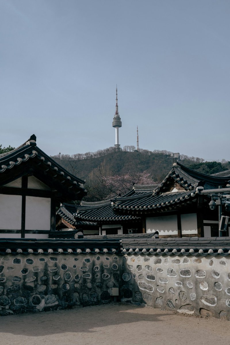 늘푸른소나무 (@nulpuleunsonamu) on Twitter photo 