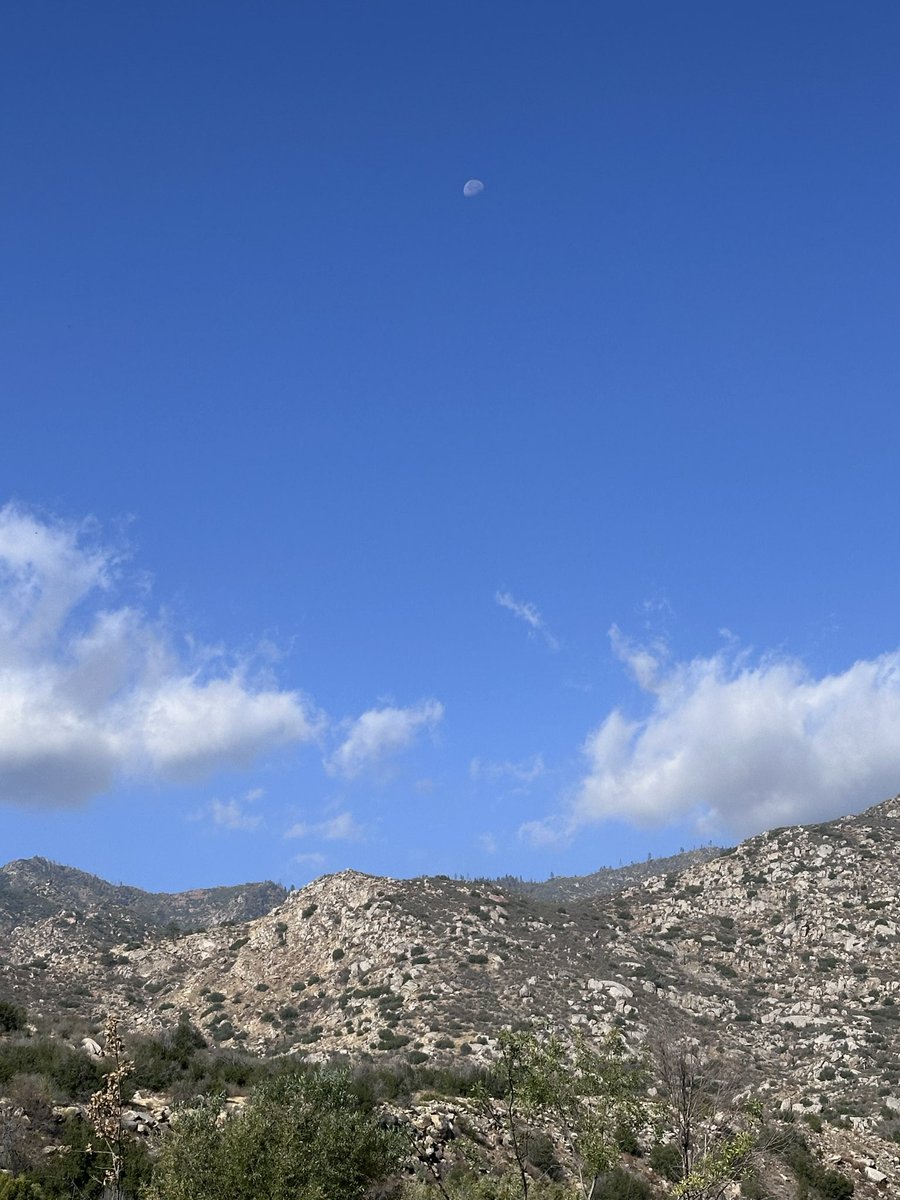 toddewiest's tweet image. Caught 1, lost 3 &amp;amp; missed 2. Good day at my favorite spot. Got there before the tournament guys. Had no idea there was a tournament &amp;amp; fall festival in town too. No wonder I had a hard time getting a room 1-week out. 
#simms #echoflyfishing @troutbitten #redington