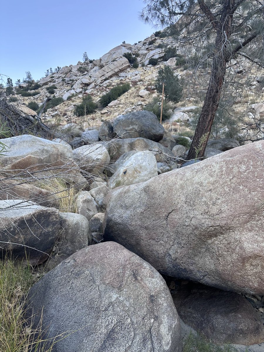 toddewiest's tweet image. Caught 1, lost 3 &amp;amp; missed 2. Good day at my favorite spot. Got there before the tournament guys. Had no idea there was a tournament &amp;amp; fall festival in town too. No wonder I had a hard time getting a room 1-week out. 
#simms #echoflyfishing @troutbitten #redington