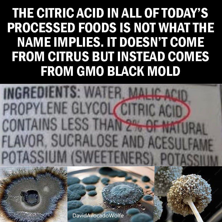 DavidWolfe's tweet image. 