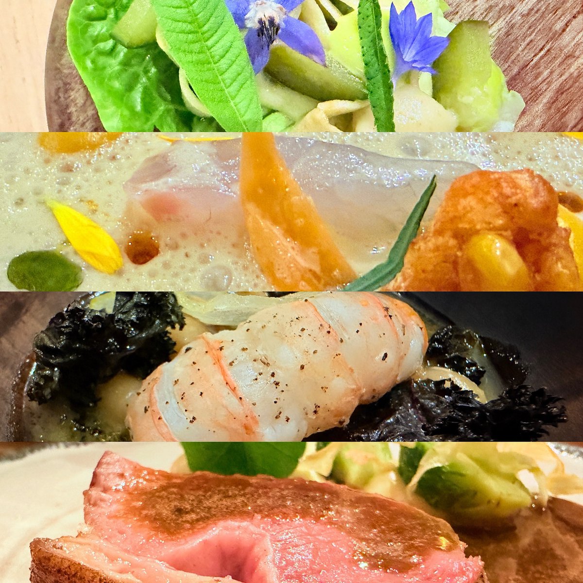 FattyGourmand's tweet photo. Fabuleux repas chez @restaurantprimitif à Gedinne chez les chefs @dariusvanhoef et @augustinmassinon ! Quel goût, quel travail, quelle audace !

Toutes les photos et details de ce repas demain sur mes pages FB Carolo Gourmand et Fatty Gourmand ! 👏🏼👏🏼

#Wallonie #Wow https://t.co/BT7YzSvjNN