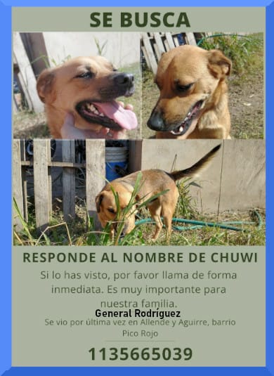 Difundimos