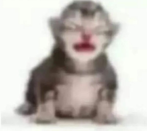 CalShon4's tweet image. La pick me cuando le estoy poniendo limón a mi coctelito de camarón ay que rico y le salpican unas gotas en sus ojos: