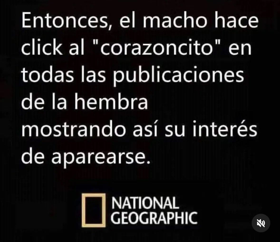 #SabadoDeRelacionesTóxicas