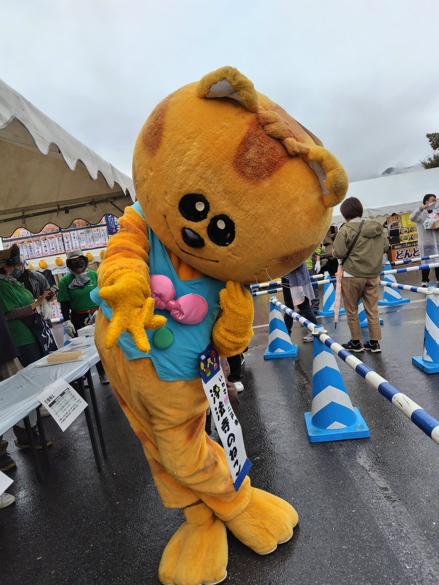 浄法寺のねこちゃんが来たよ！