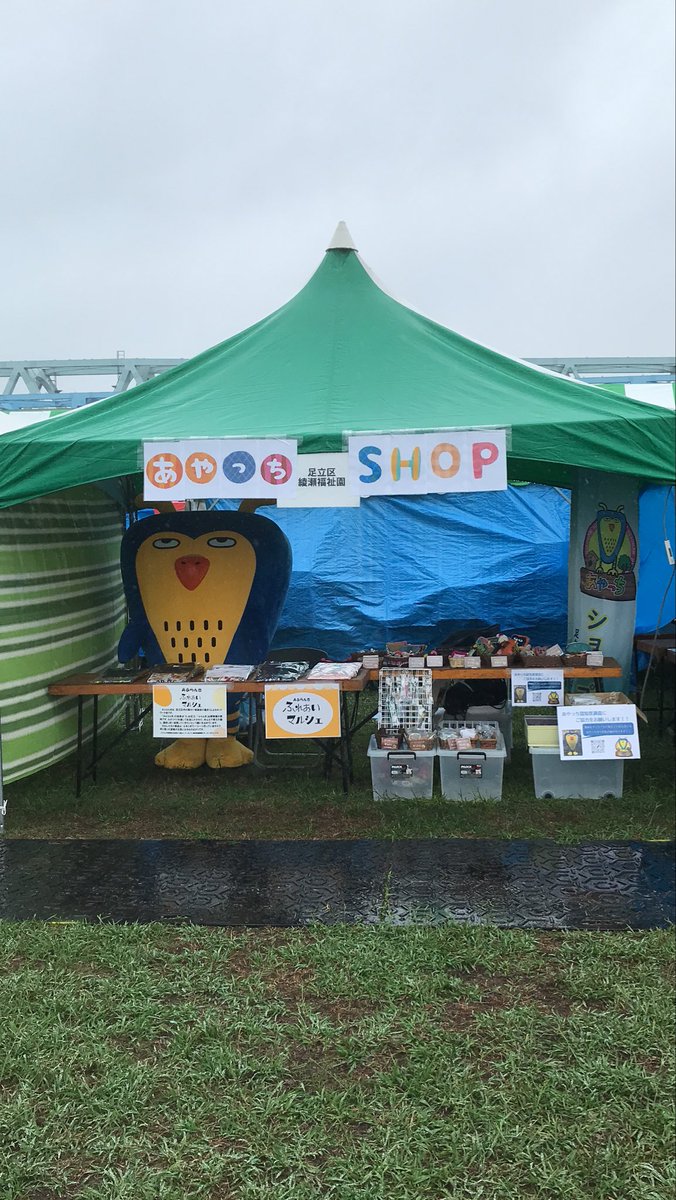 あやっち🦉 (@ayafuku_01) / Posts / X