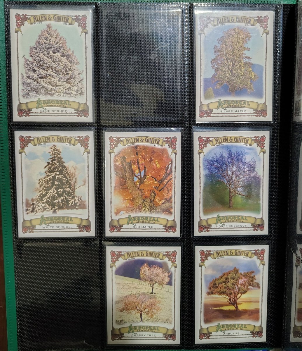 _AlleyAwesome's tweet photo. @RickCanale @eshecker @dhdrewry @BUILD_A_BINDER Yeah fun lil 12 card set, once the last 2 arrive.
Now I'm on a redwood card hunt to go with General Sherman #norcallife https://t.co/yyaW0jAq2r