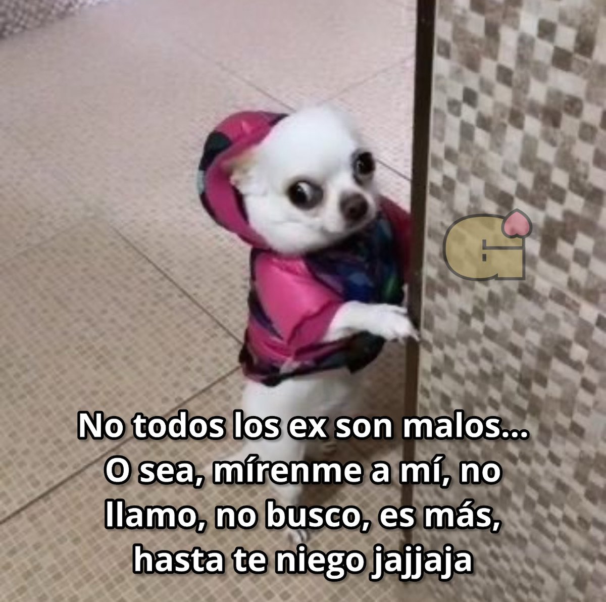 Guarromantico_'s tweet photo. Soy el mejor. https://t.co/WcWd3lf3Tl
