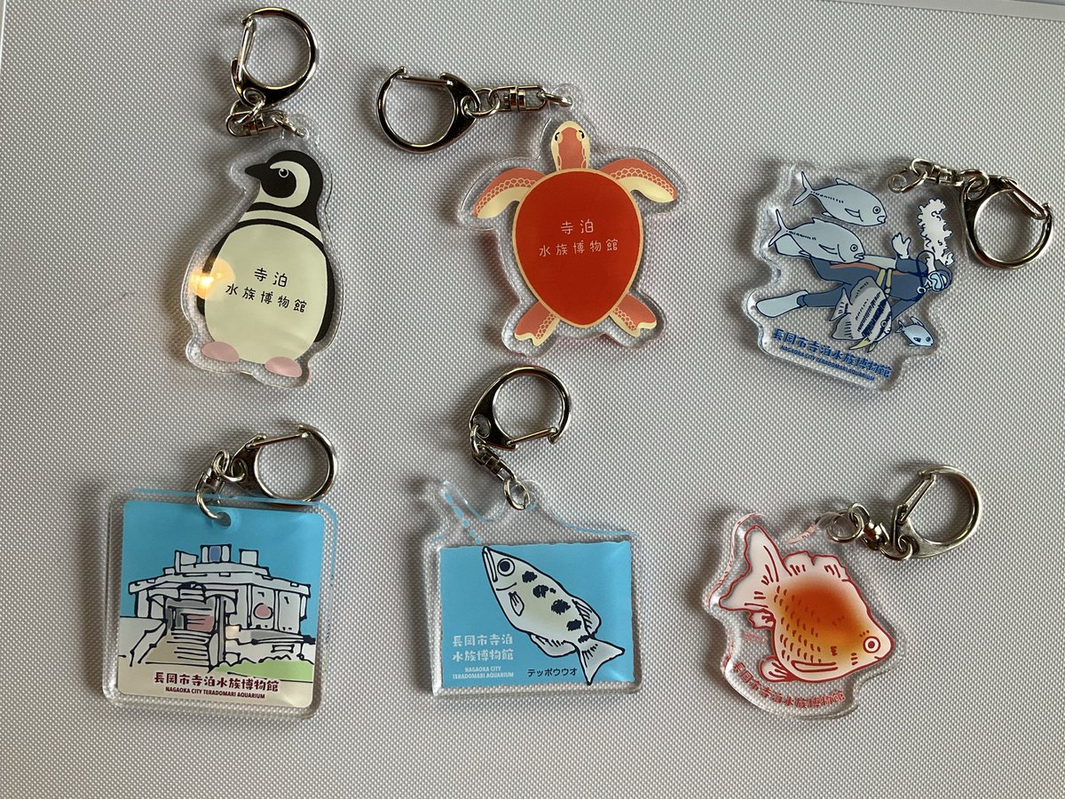 寺泊水族博物館【公式】 on X