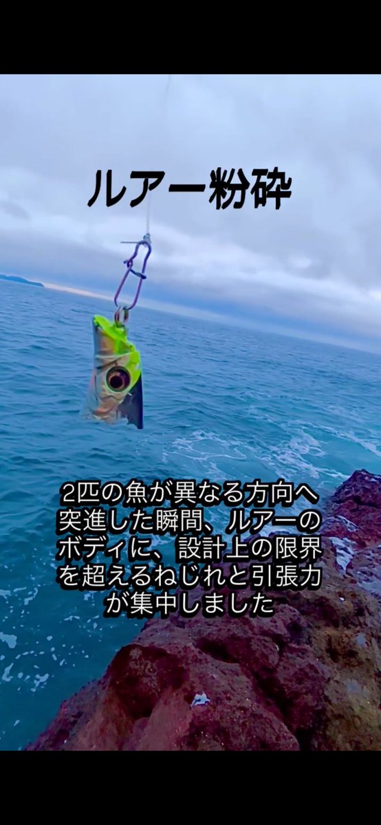#ルアー粉砕