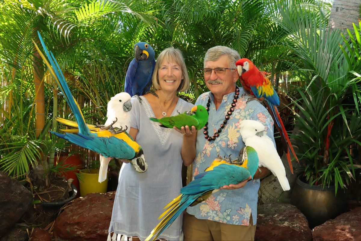 sheltieleslie's tweet photo. A few minutes with The Bird Man of Maui and we have this! https://t.co/q23LFIKbLj