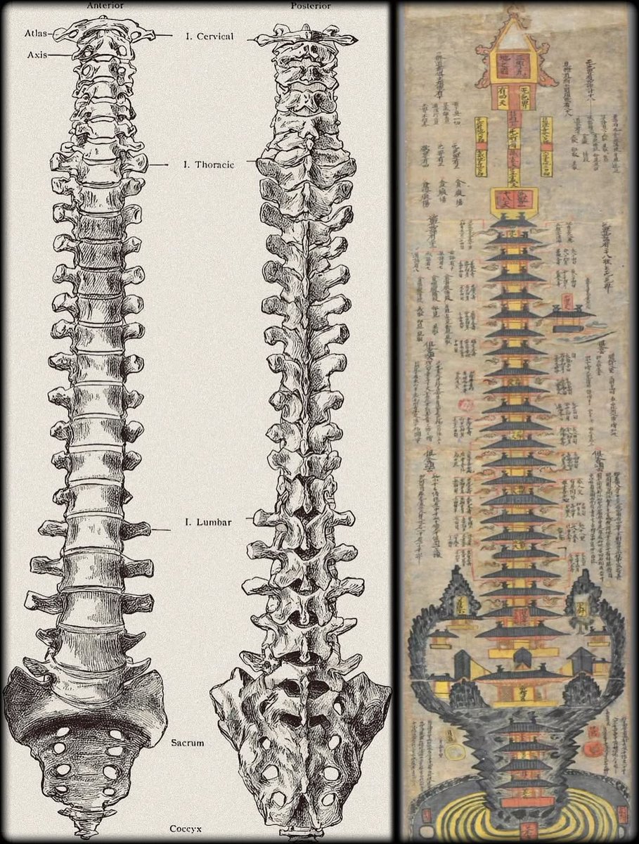 bootleg_images_bot(twee!:void(0)-+**** (@chronic_clinic_) on Twitter photo 