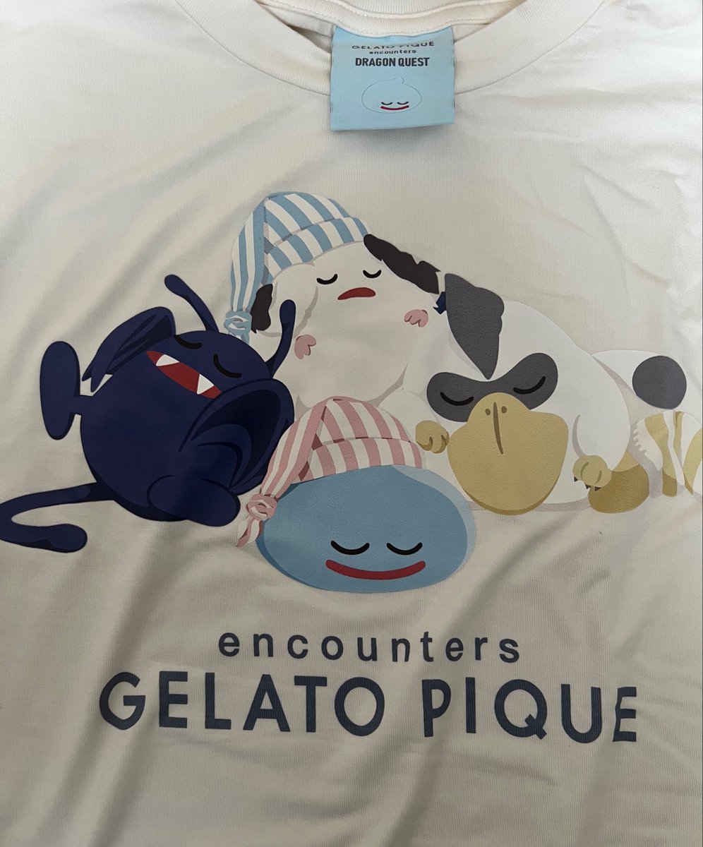 dolcecaffelatte's tweet photo. 通販で買えなくて、ショップまでダッシュして良かった！安眠でした！
＃ドラクエ　＃ドラクエ10 https://t.co/ryPoHQjuoB