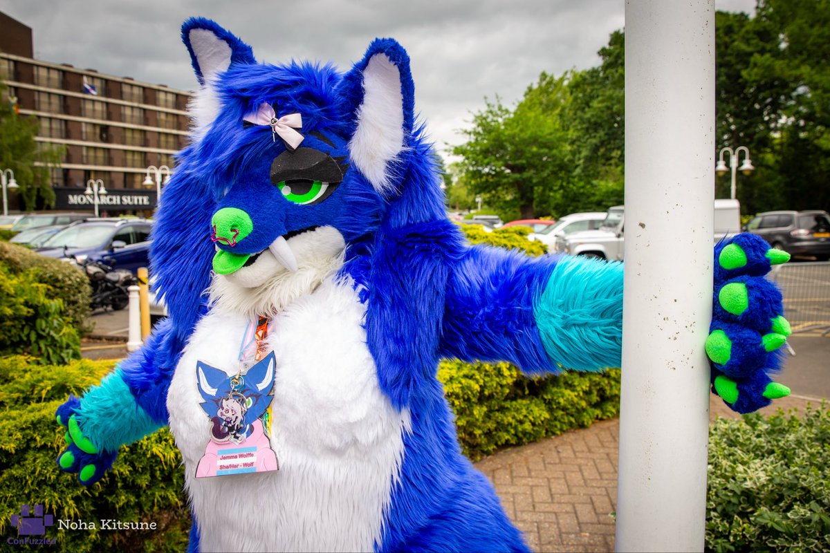 HIIII GOOBERS :3 taken at #confuzzled from the roaming photography team :0 #furry #furryfandom #fursuit #fursuiter #thicc #thiccsuit #biggirl