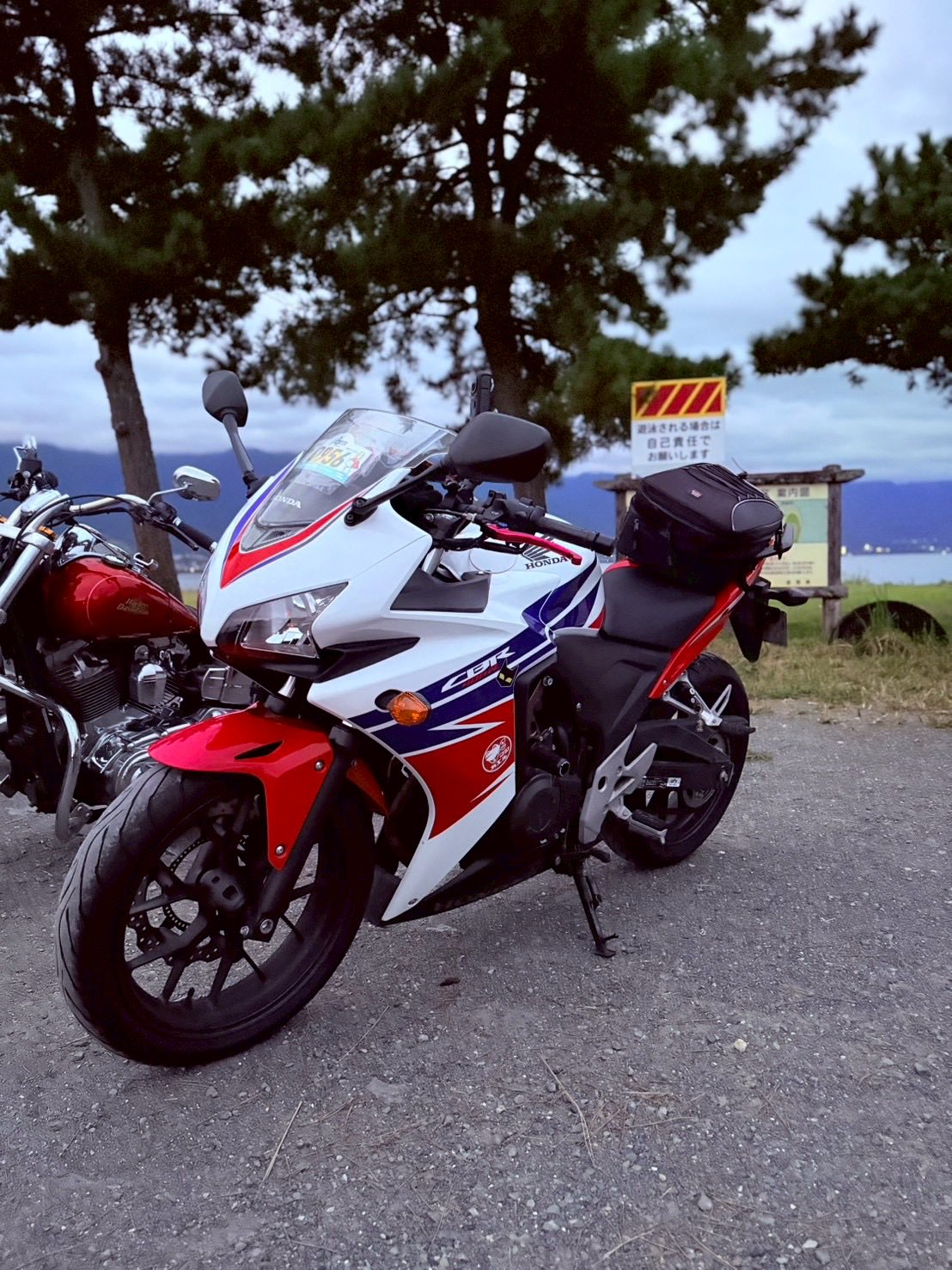 なつこページ 小夏 / Konatsu | XICO Inc / 株式会社ヒーコ