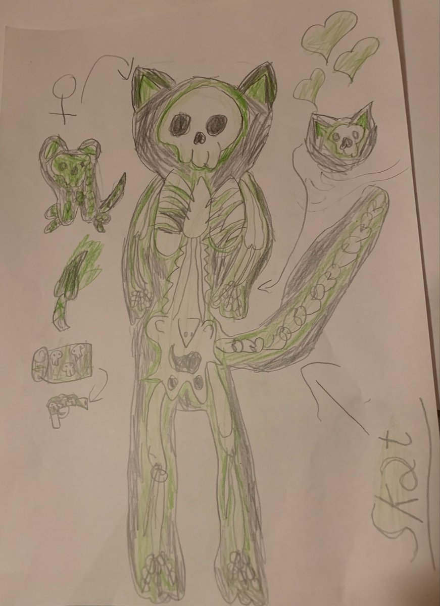 Lil💖Kitty🐱Flower🌸 tweet media