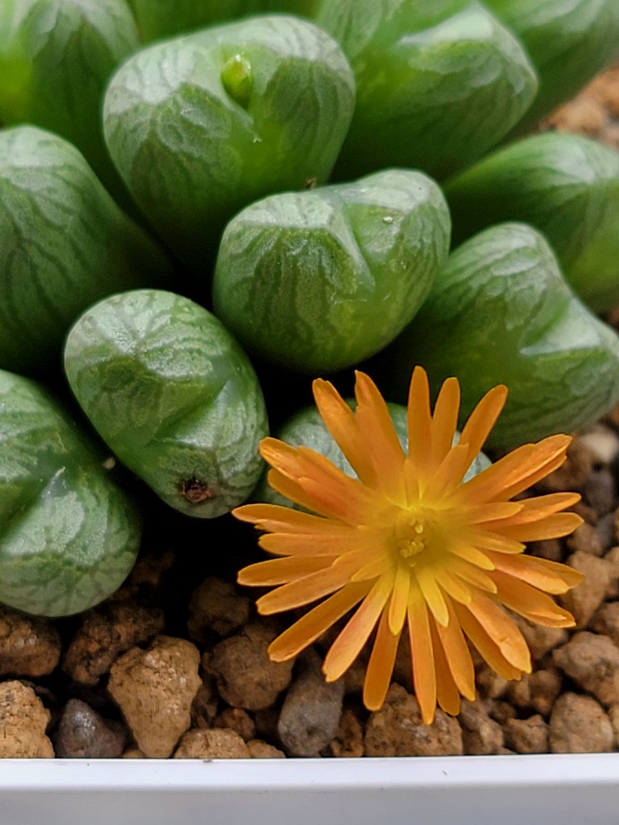 JUN☆ (@zZ0O7LDVDB45Svr) / Posts / X