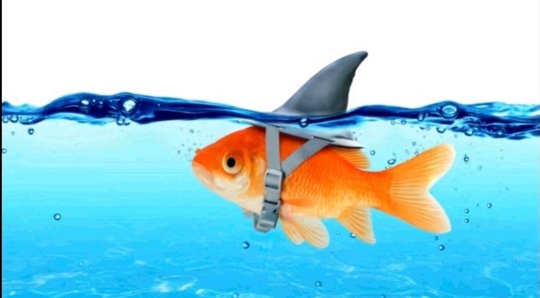 SpokeDeveloper tweet media