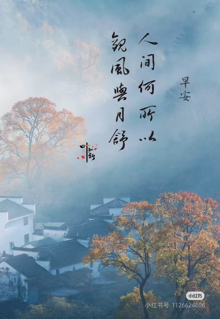 早安
友友们
周末愉快