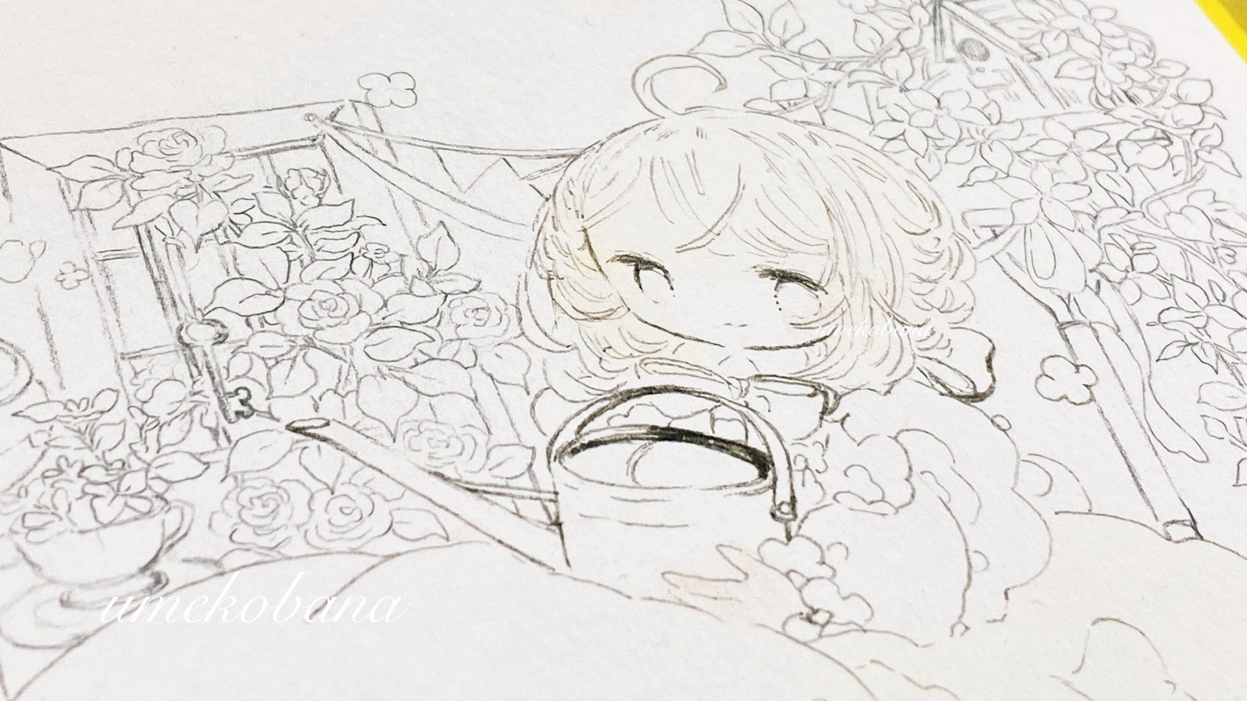 小5おまとめ Ougi】おまとめ商品 TAKEO KIKUCHI 最大37% 8/22限定