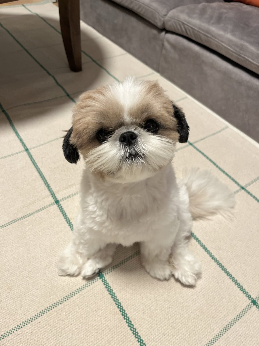 ﾎﾟﾆｮﾘ？